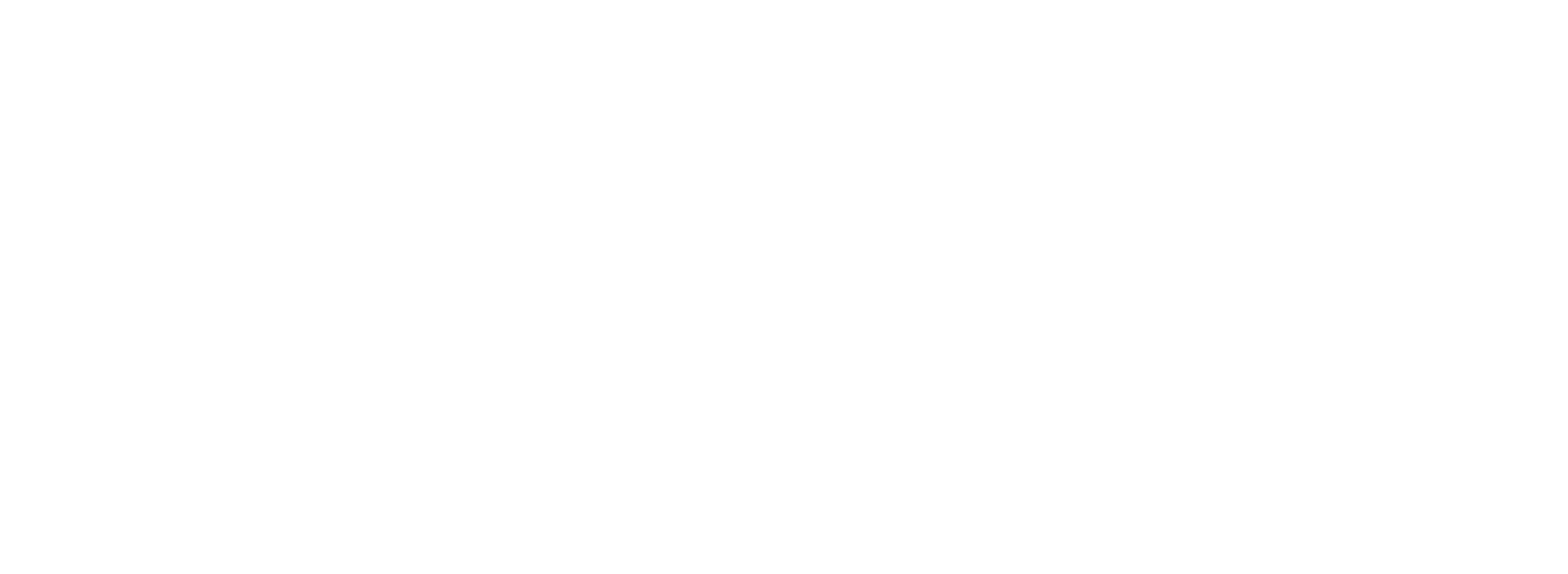 Company Logo - 4tiitoo - white